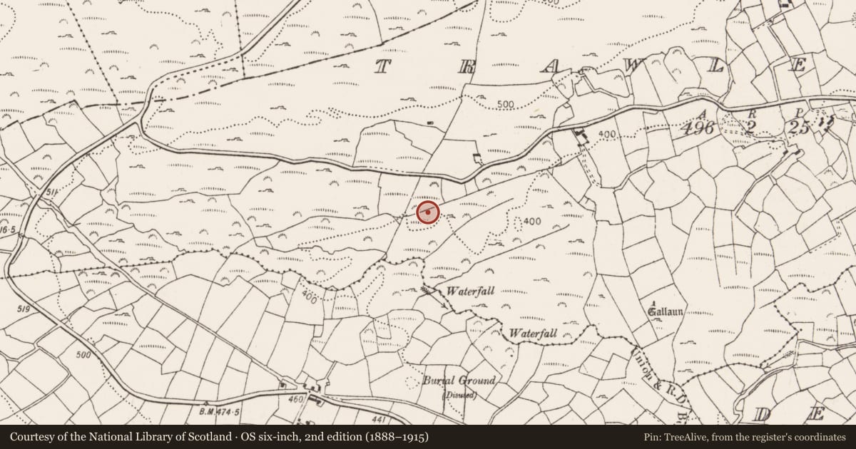 Ordnance Survey six-inch map, 2nd edition (1888–1915) covering the location of Standing stone, Trawlebane, County Cork, with a pin at the register's coordinates