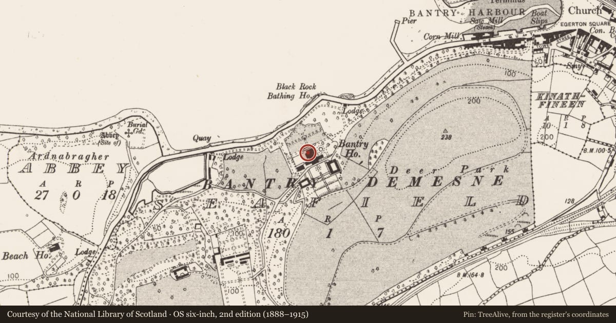 Ordnance Survey six-inch map, 2nd edition (1888–1915) covering the location of Settlement cluster, Seafield, County Cork, with a pin at the register's coordinates