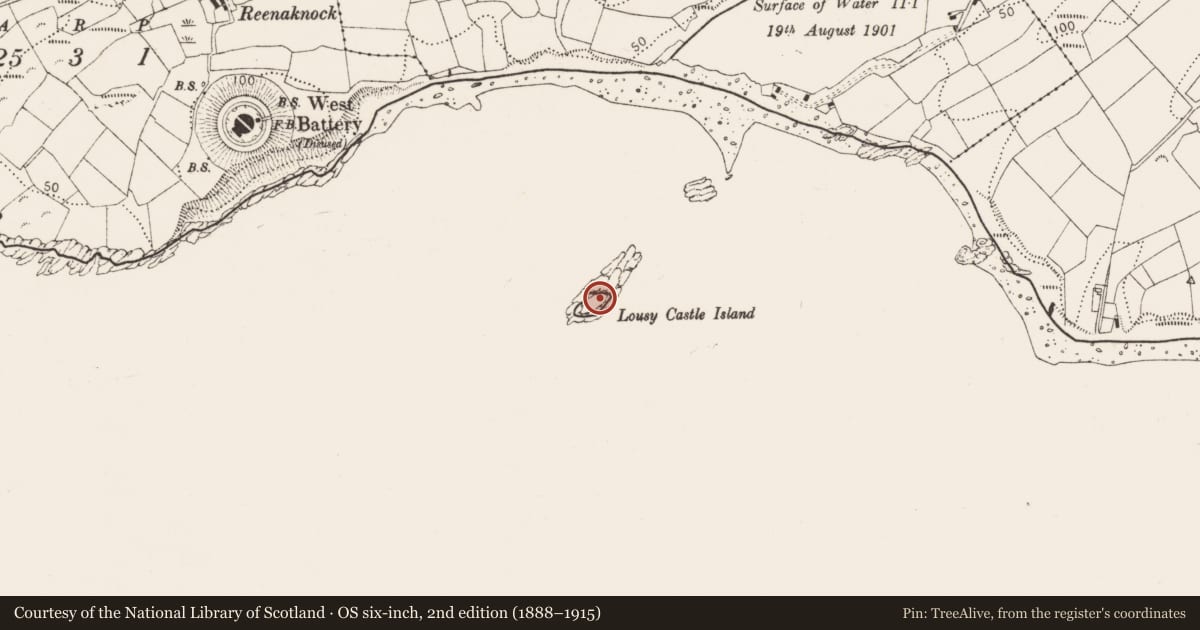 Ordnance Survey six-inch map, 2nd edition (1888–1915) covering the location of Structure, Lousy (Castle Island), County Cork, with a pin at the register's coordinates