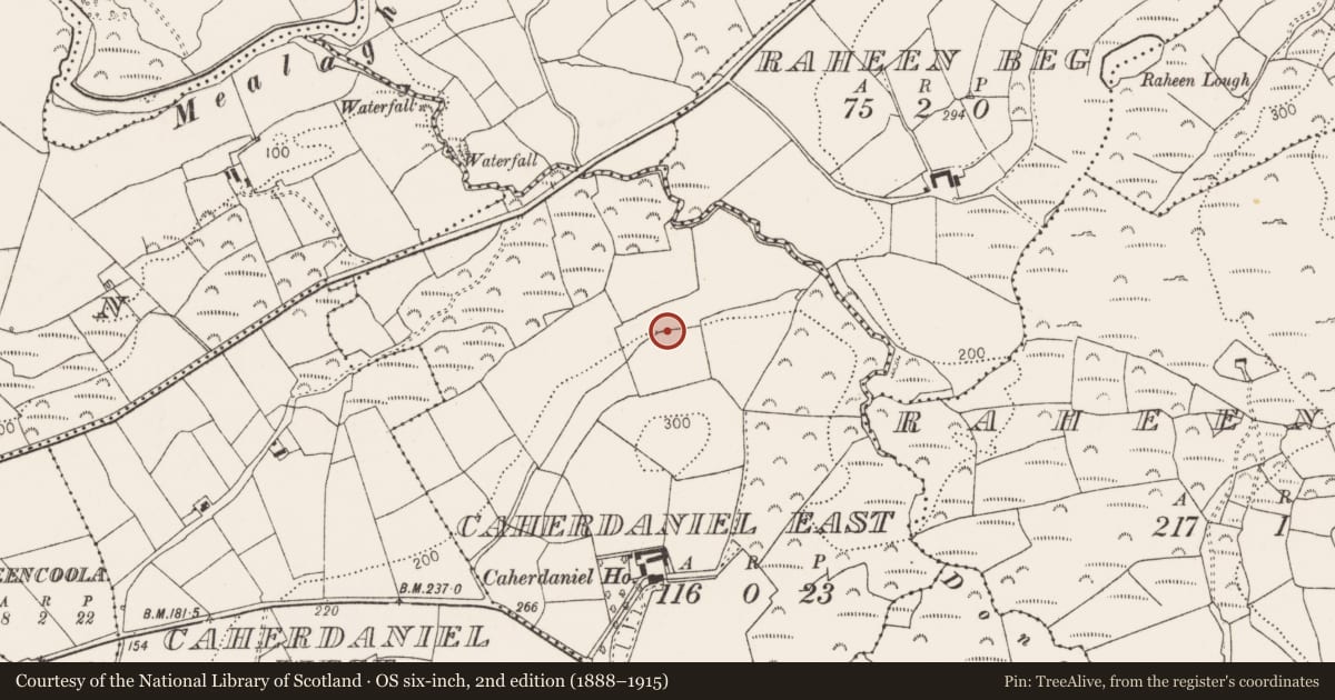 Ordnance Survey six-inch map, 2nd edition (1888–1915) covering the location of Souterrain, Caherdaniel East, County Cork, with a pin at the register's coordinates