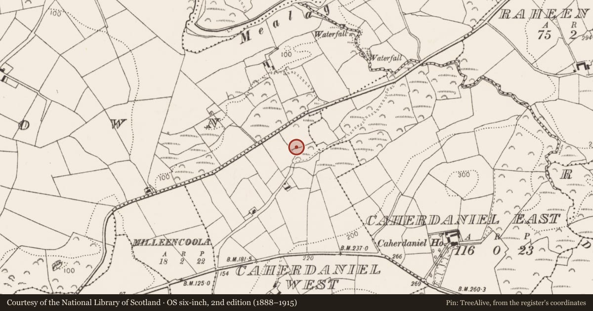 Ordnance Survey six-inch map, 2nd edition (1888–1915) covering the location of Standing stone, Caherdaniel West, County Cork, with a pin at the register's coordinates
