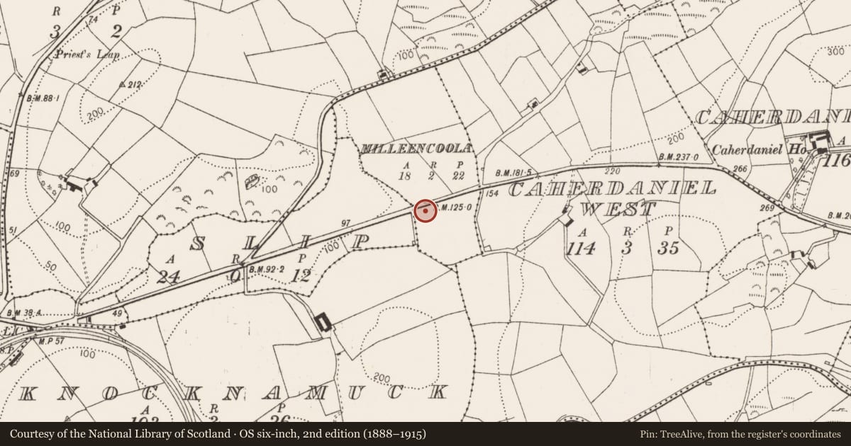 Ordnance Survey six-inch map, 2nd edition (1888–1915) covering the location of Fulacht fia, Milleencoola, County Cork, with a pin at the register's coordinates