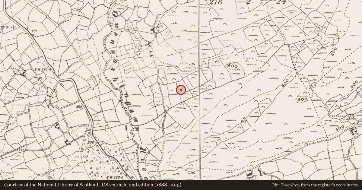 Ordnance Survey six-inch map, 2nd edition (1888–1915) covering the location of Standing stone, Derryishal, County Cork, with a pin at the register's coordinates