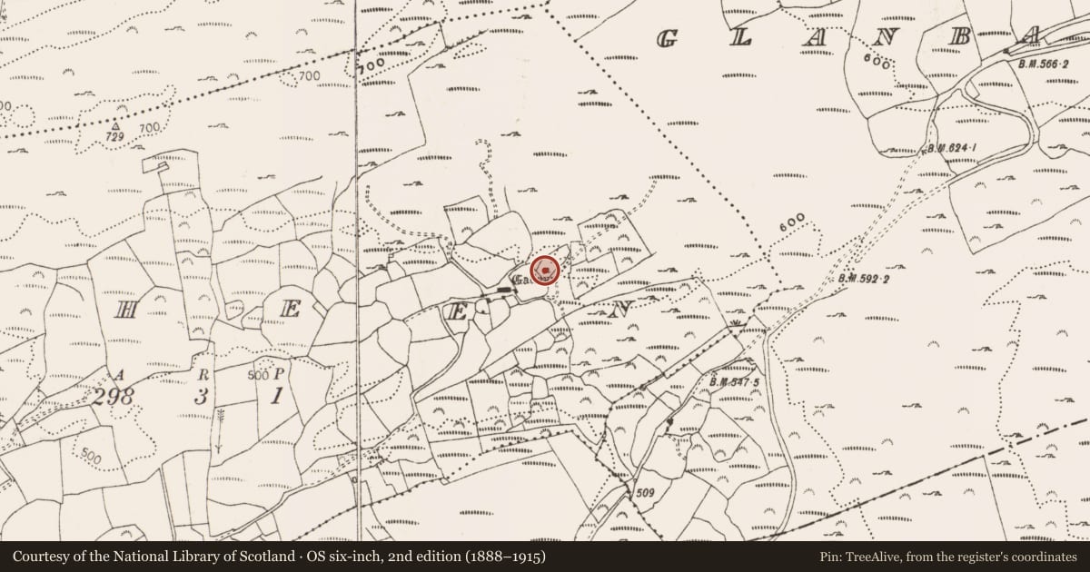 Ordnance Survey six-inch map, 2nd edition (1888–1915) covering the location of Standing stone, Raheen, County Cork, with a pin at the register's coordinates