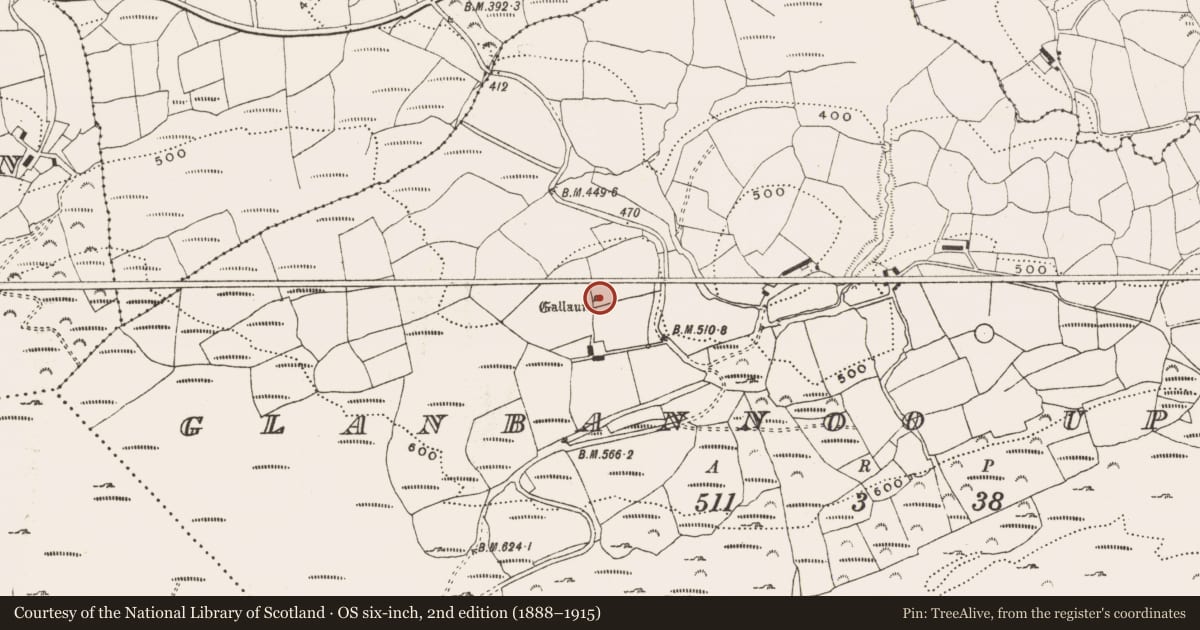 Ordnance Survey six-inch map, 2nd edition (1888–1915) covering the location of Standing stone, Glanbannoo Upper, County Cork, with a pin at the register's coordinates