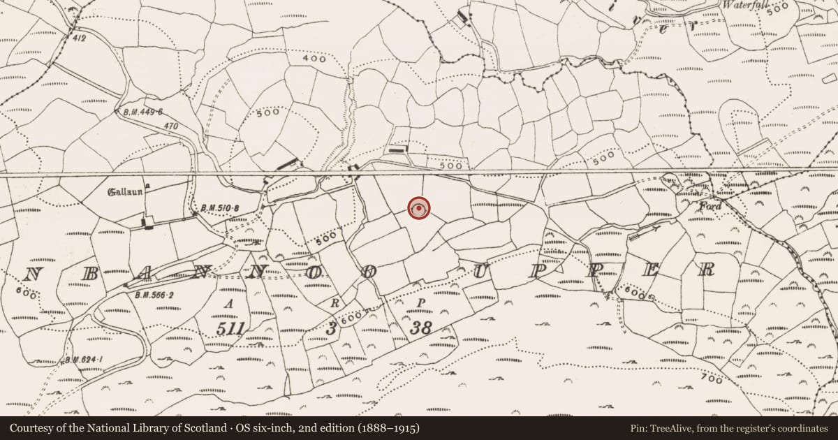 Ordnance Survey six-inch map, 2nd edition (1888–1915) covering the location of Ringfort - rath, Glanbannoo Upper, County Cork, with a pin at the register's coordinates