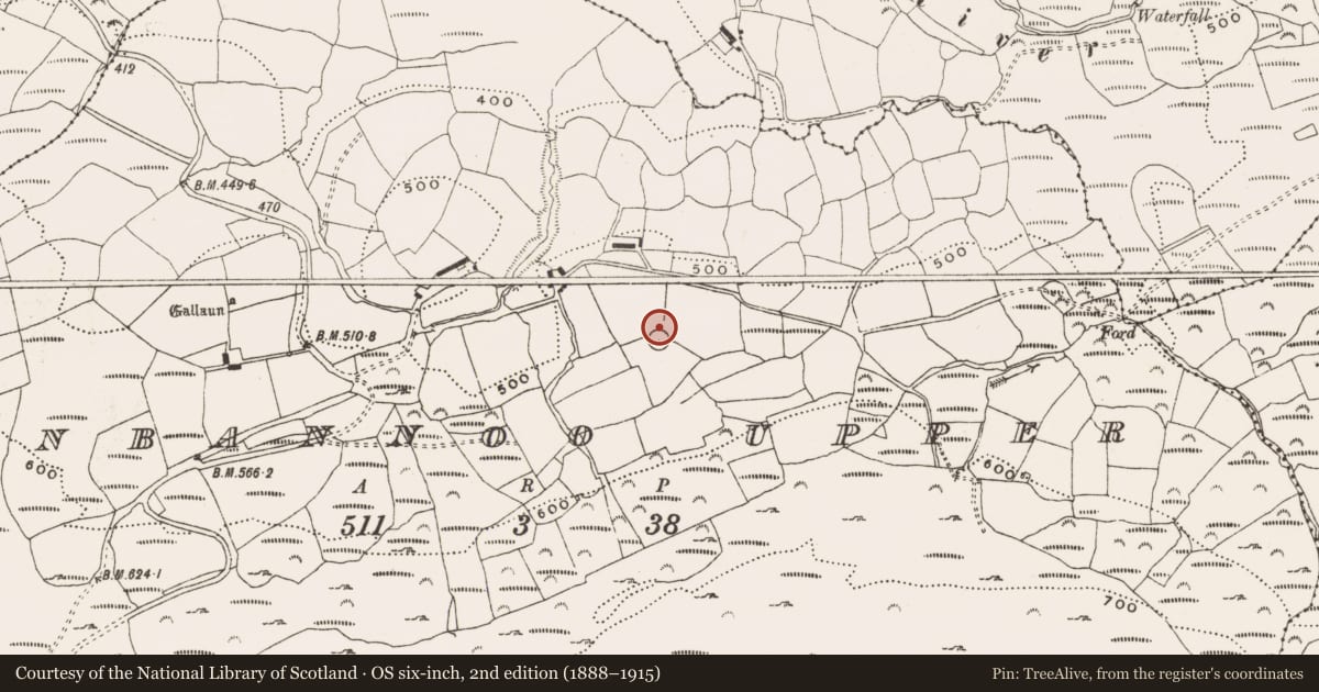 Ordnance Survey six-inch map, 2nd edition (1888–1915) covering the location of Souterrain, Glanbannoo Upper, County Cork, with a pin at the register's coordinates