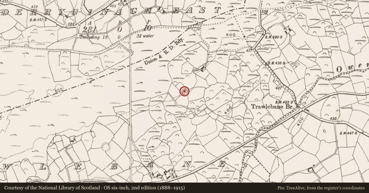 Ordnance Survey six-inch map, 2nd edition (1888–1915) covering the location of Ringfort - rath, Trawlebane, County Cork, with a pin at the register's coordinates
