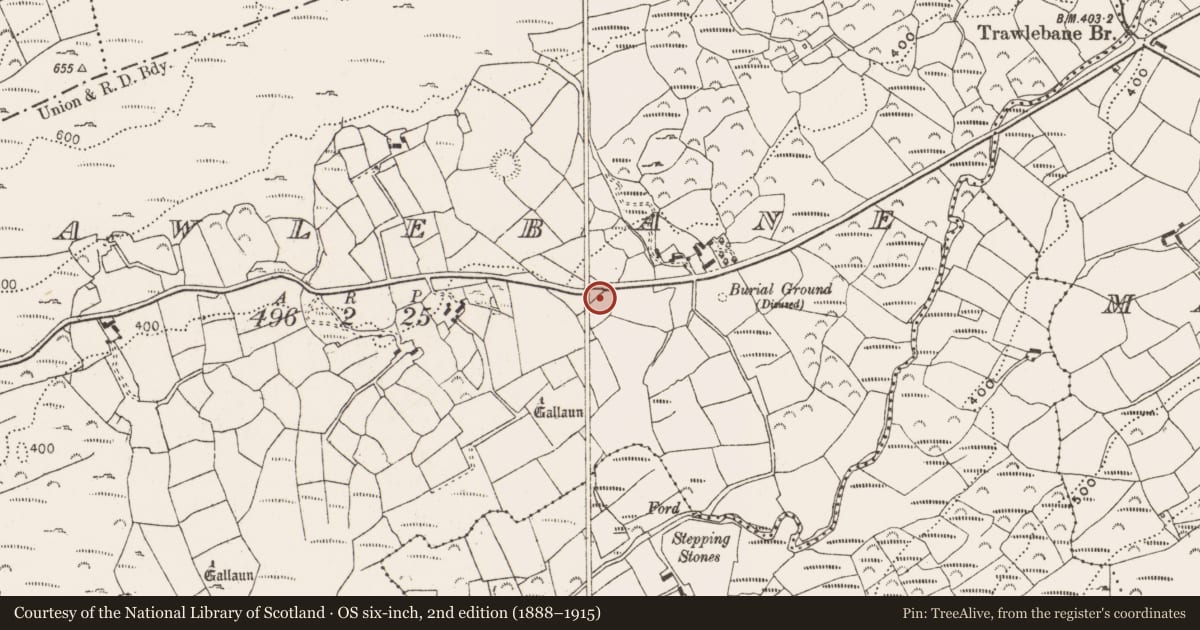 Ordnance Survey six-inch map, 2nd edition (1888–1915) covering the location of Stone circle - five-stone, Trawlebane, County Cork, with a pin at the register's coordinates