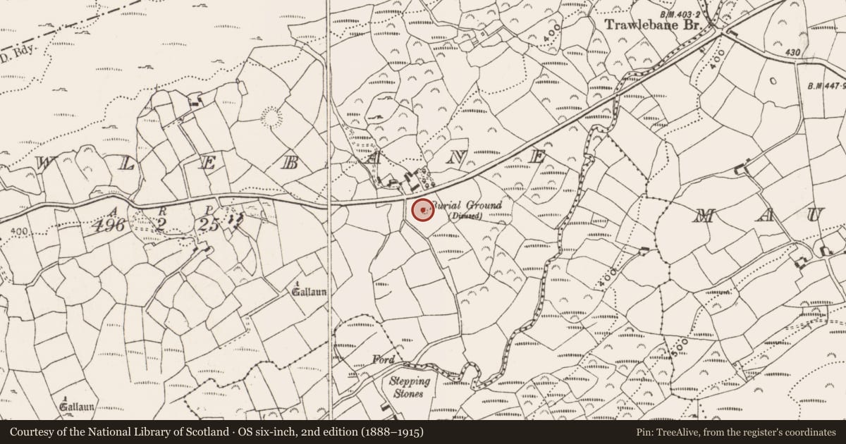 Ordnance Survey six-inch map, 2nd edition (1888–1915) covering the location of Burial ground, Trawlebane, County Cork, with a pin at the register's coordinates