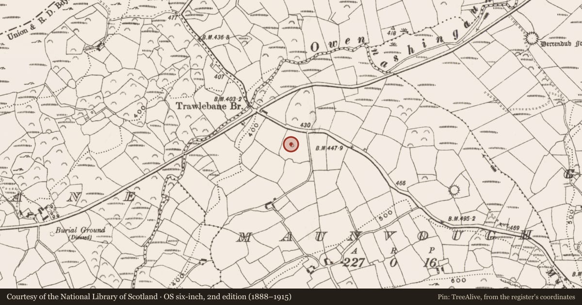 Ordnance Survey six-inch map, 2nd edition (1888–1915) covering the location of Burial ground, Maunvough, County Cork, with a pin at the register's coordinates