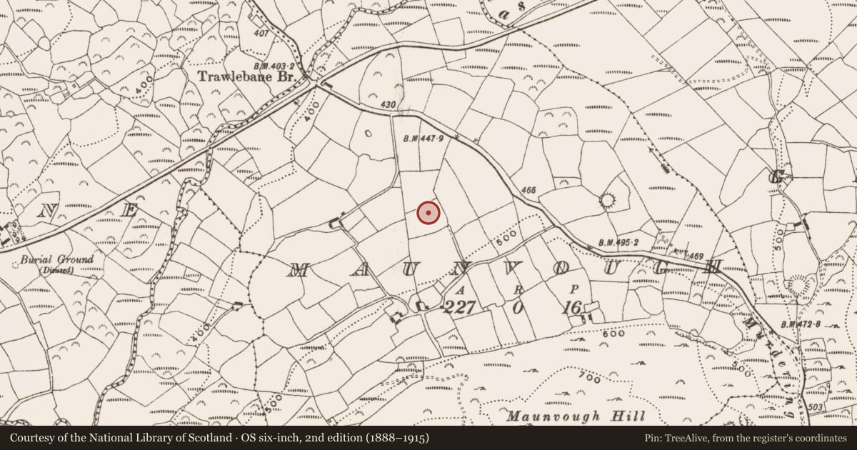Ordnance Survey six-inch map, 2nd edition (1888–1915) covering the location of Standing stone, Maunvough, County Cork, with a pin at the register's coordinates