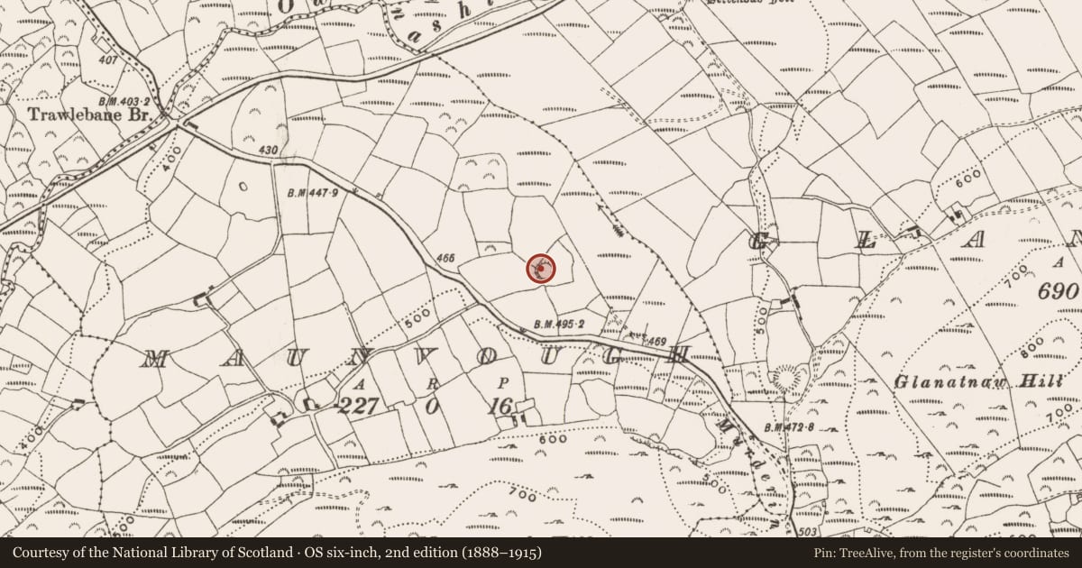 Ordnance Survey six-inch map, 2nd edition (1888–1915) covering the location of Ringfort - rath, Maunvough, County Cork, with a pin at the register's coordinates