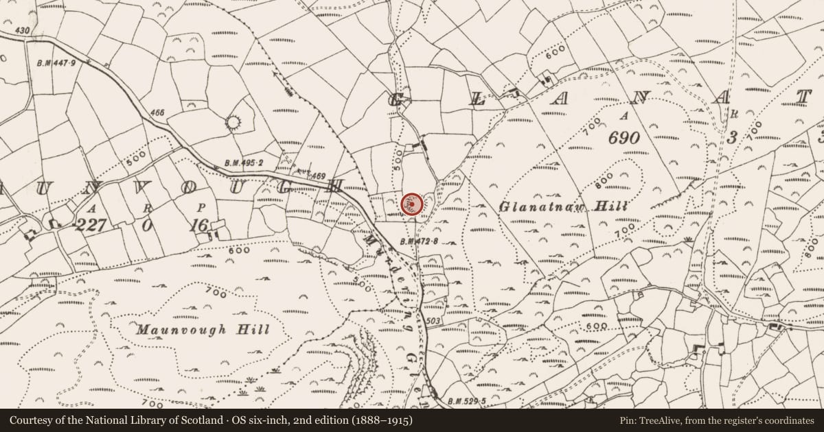 Ordnance Survey six-inch map, 2nd edition (1888–1915) covering the location of Ringfort - rath, Glanatnaw, County Cork, with a pin at the register's coordinates
