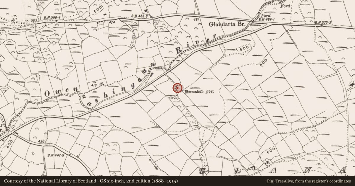 Ordnance Survey six-inch map, 2nd edition (1888–1915) covering the location of Ringfort - rath, Glanatnaw, County Cork, with a pin at the register's coordinates