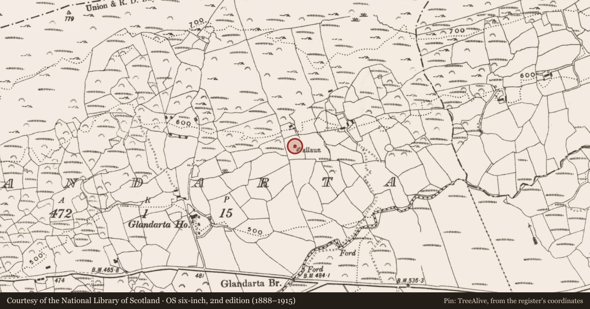 Ordnance Survey six-inch map, 2nd edition (1888–1915) covering the location of Standing stone, Glandarta, County Cork, with a pin at the register's coordinates