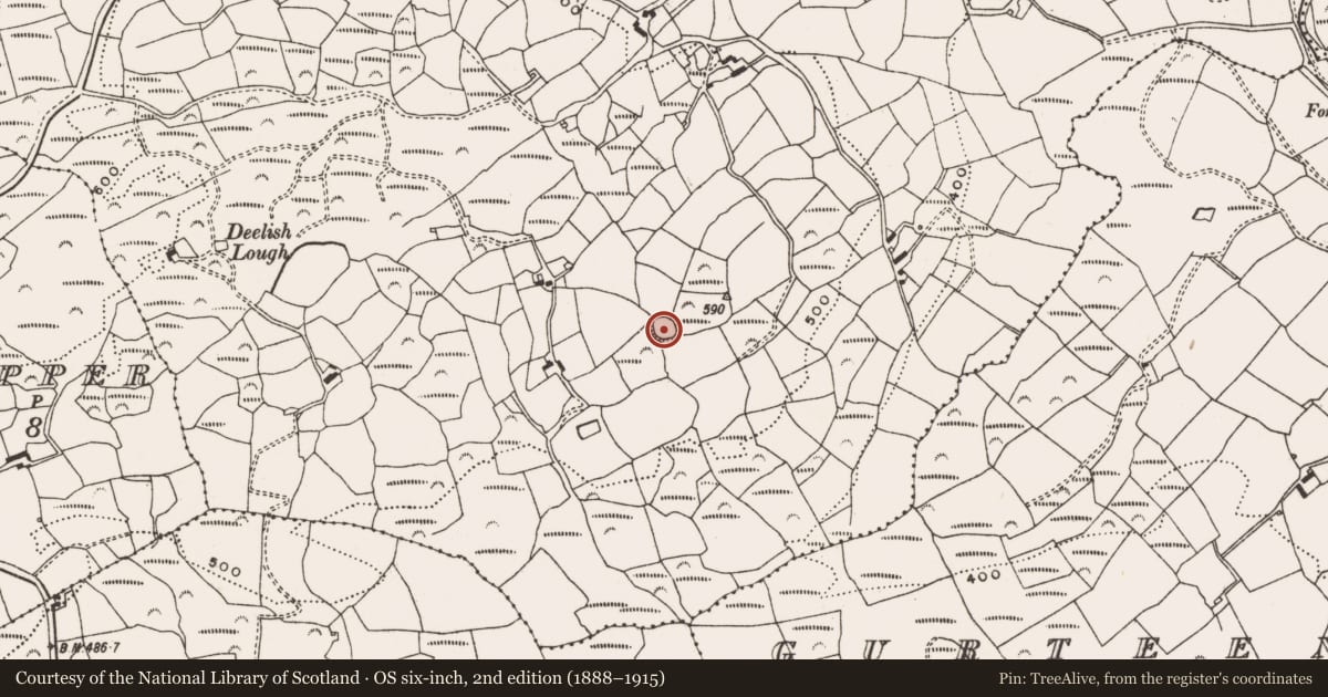 Ordnance Survey six-inch map, 2nd edition (1888–1915) covering the location of Ringfort - rath, Deelish (Carbery W. By., Dromdaleague Par.), County Cork, with a pin at the register's coordinates