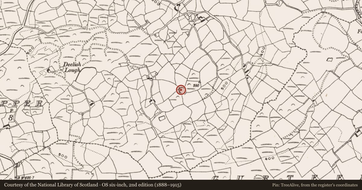 Ordnance Survey six-inch map, 2nd edition (1888–1915) covering the location of Hut site, Deelish (Carbery W. By., Dromdaleague Par.), County Cork, with a pin at the register's coordinates