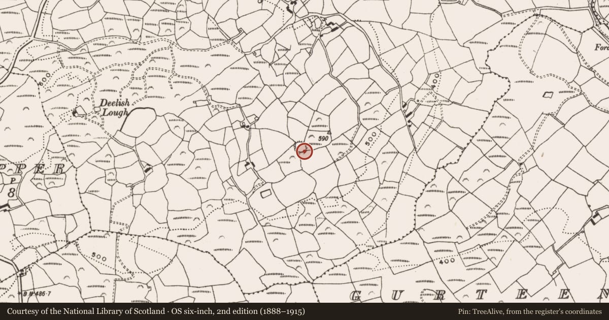 Ordnance Survey six-inch map, 2nd edition (1888–1915) covering the location of Hut site, Deelish (Carbery W. By., Dromdaleague Par.), County Cork, with a pin at the register's coordinates