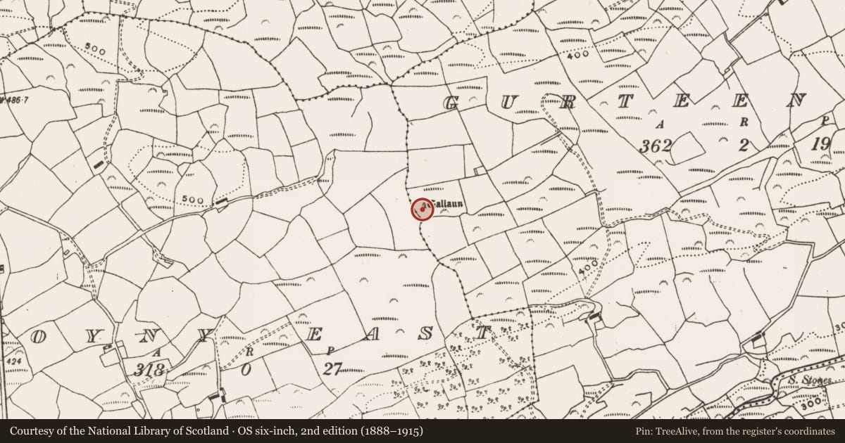 Ordnance Survey six-inch map, 2nd edition (1888–1915) covering the location of Standing stone, Gurteeniher, County Cork, with a pin at the register's coordinates