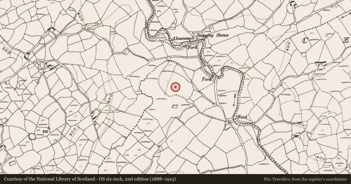 Ordnance Survey six-inch map, 2nd edition (1888–1915) covering the location of Enclosure, Gurteeniher, County Cork, with a pin at the register's coordinates