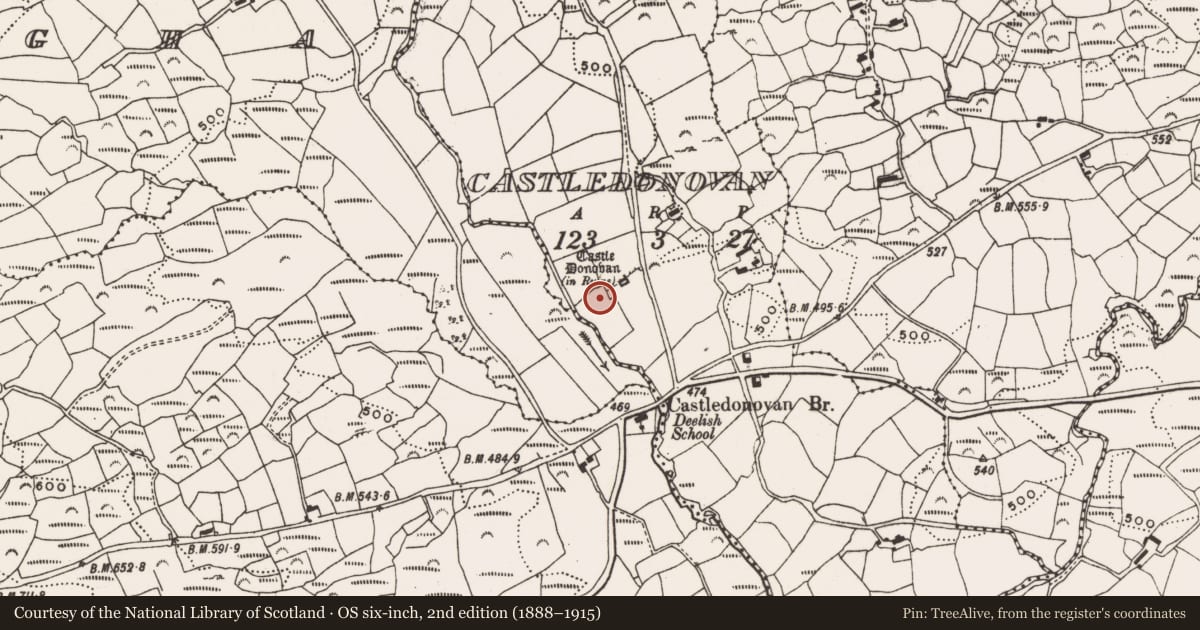 Ordnance Survey six-inch map, 2nd edition (1888–1915) covering the location of Kiln - corn-drying, Castledonovan, County Cork, with a pin at the register's coordinates