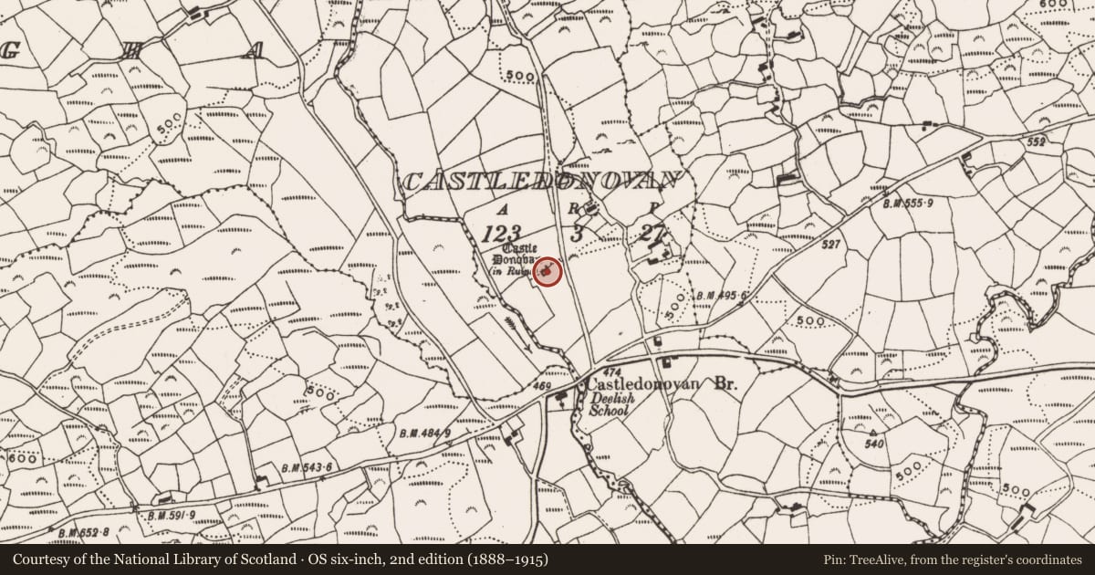 Ordnance Survey six-inch map, 2nd edition (1888–1915) covering the location of Castle - tower house, Castledonovan, County Cork, with a pin at the register's coordinates