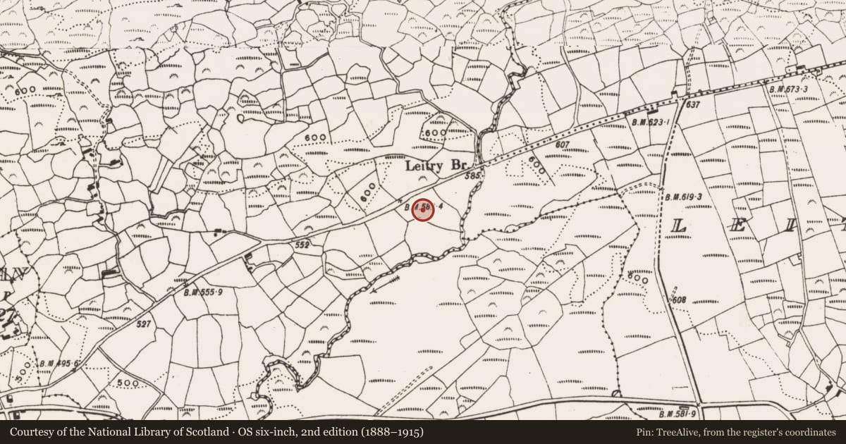 Ordnance Survey six-inch map, 2nd edition (1888–1915) covering the location of Standing stone, Garranes North, County Cork, with a pin at the register's coordinates