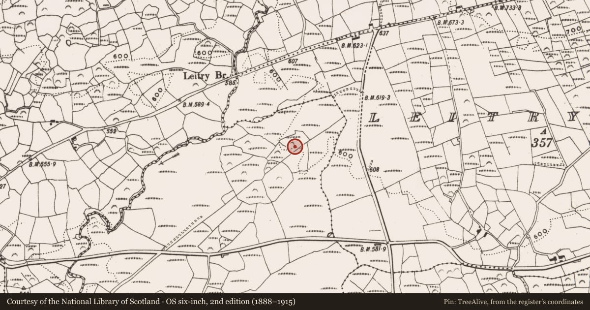 Ordnance Survey six-inch map, 2nd edition (1888–1915) covering the location of Enclosure, Seehanes, County Cork, with a pin at the register's coordinates