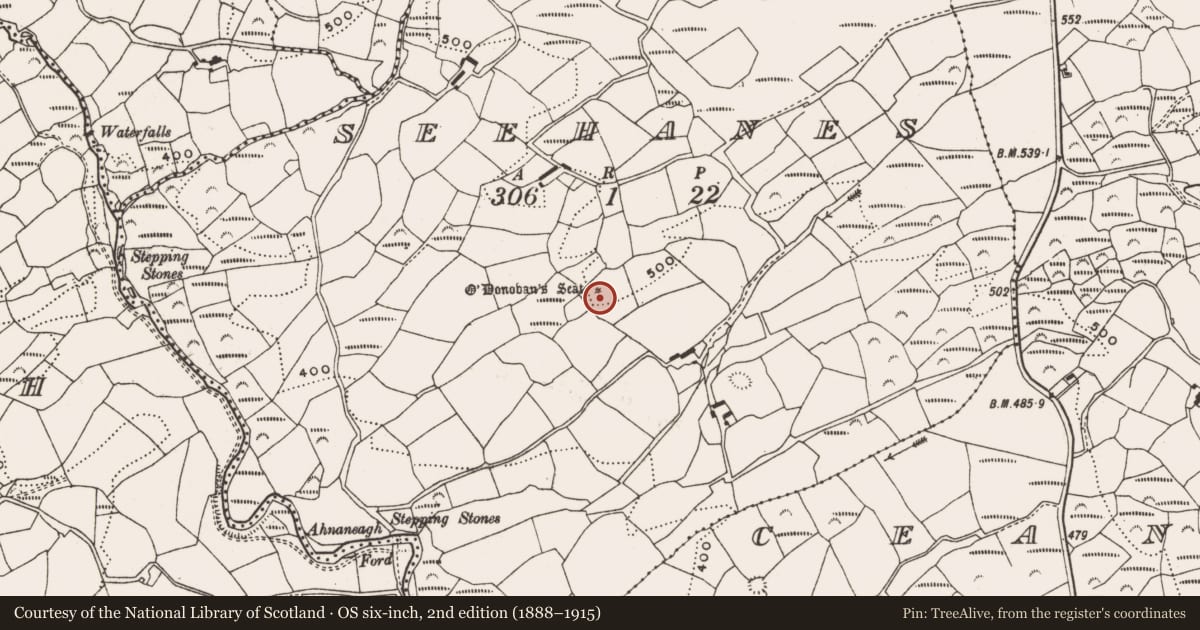 Ordnance Survey six-inch map, 2nd edition (1888–1915) covering the location of Mound, Seehanes, County Cork, with a pin at the register's coordinates