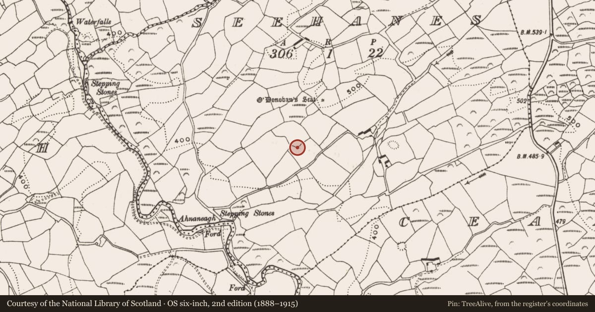 Ordnance Survey six-inch map, 2nd edition (1888–1915) covering the location of Enclosure, Seehanes, County Cork, with a pin at the register's coordinates