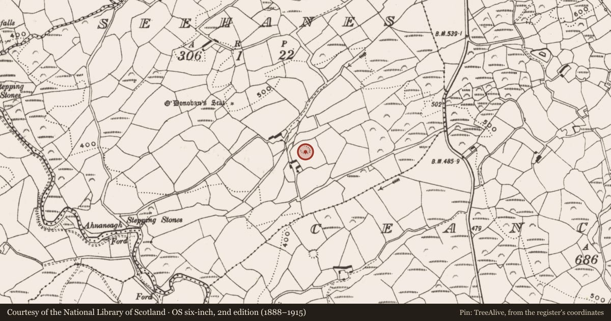 Ordnance Survey six-inch map, 2nd edition (1888–1915) covering the location of Ringfort - rath, Seehanes, County Cork, with a pin at the register's coordinates