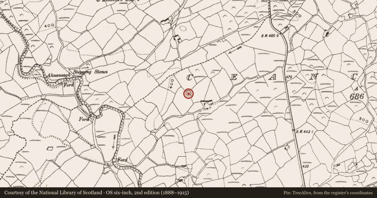 Ordnance Survey six-inch map, 2nd edition (1888–1915) covering the location of Souterrain, Ceancullig, County Cork, with a pin at the register's coordinates