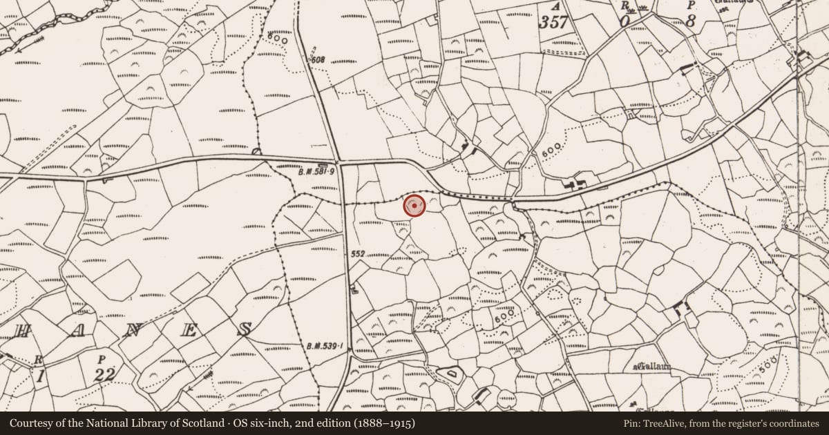 Ordnance Survey six-inch map, 2nd edition (1888–1915) covering the location of Fulacht fia, Ceancullig, County Cork, with a pin at the register's coordinates