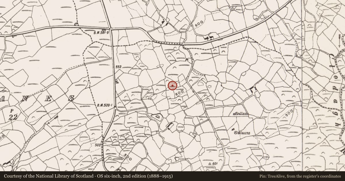 Ordnance Survey six-inch map, 2nd edition (1888–1915) covering the location of Fulacht fia, Ceancullig, County Cork, with a pin at the register's coordinates