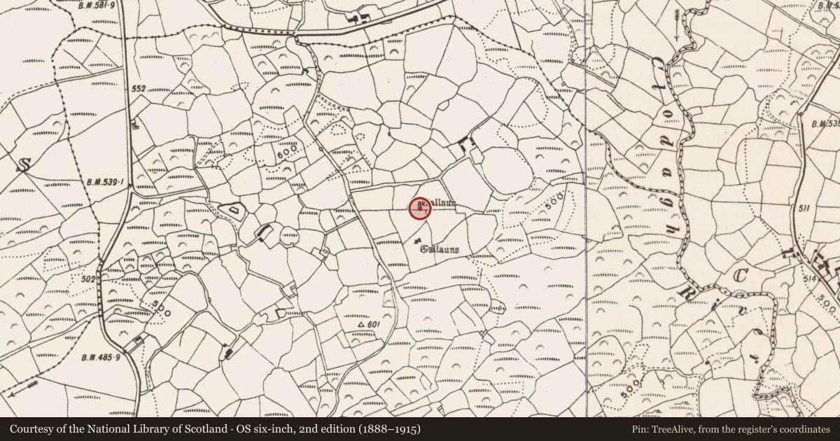Ordnance Survey six-inch map, 2nd edition (1888–1915) covering the location of Standing stone, Ceancullig, County Cork, with a pin at the register's coordinates