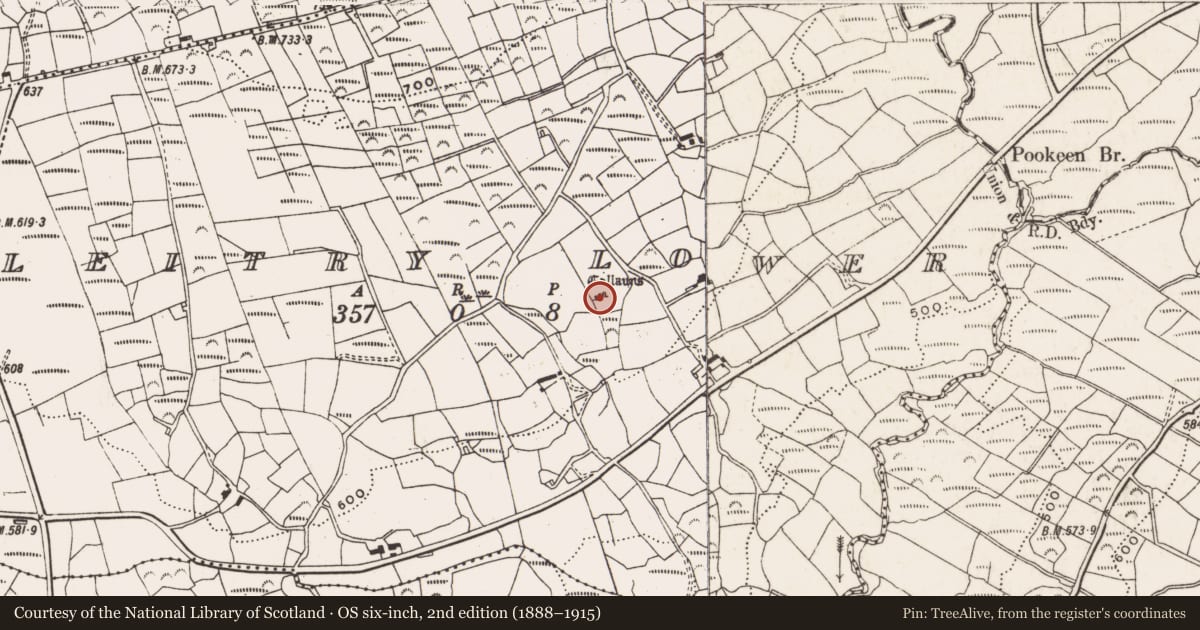 Ordnance Survey six-inch map, 2nd edition (1888–1915) covering the location of Stone row, Leitry Lower, County Cork, with a pin at the register's coordinates