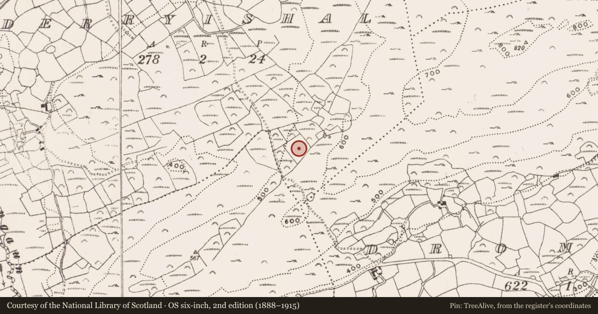 Ordnance Survey six-inch map, 2nd edition (1888–1915) covering the location of Standing stone, Derryishal, County Cork, with a pin at the register's coordinates