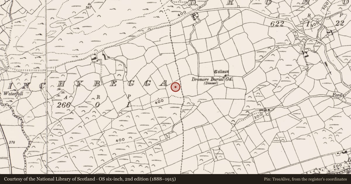 Ordnance Survey six-inch map, 2nd edition (1888–1915) covering the location of Stone circle - five-stone, Inchybegga, County Cork, with a pin at the register's coordinates