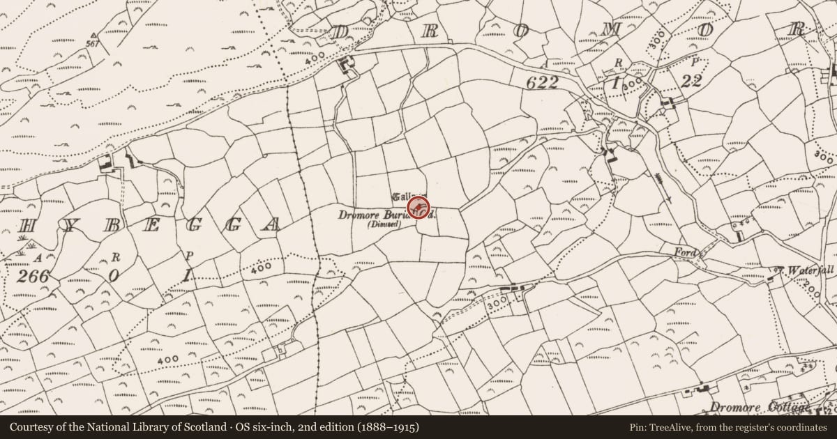 Ordnance Survey six-inch map, 2nd edition (1888–1915) covering the location of Anomalous stone group, Dromore, County Cork, with a pin at the register's coordinates