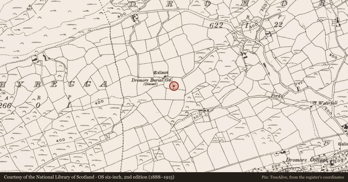 Ordnance Survey six-inch map, 2nd edition (1888–1915) covering the location of Cross-slab, Dromore, County Cork, with a pin at the register's coordinates