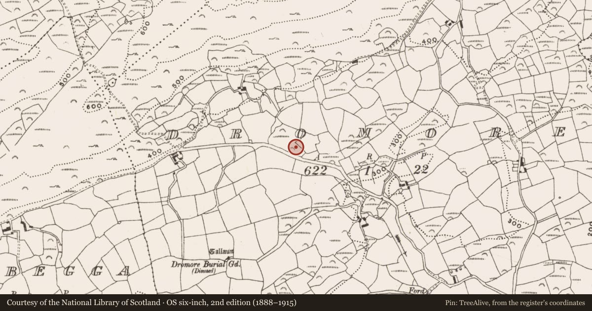 Ordnance Survey six-inch map, 2nd edition (1888–1915) covering the location of Fulacht fia, Dromore, County Cork, with a pin at the register's coordinates