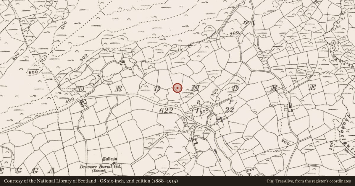Ordnance Survey six-inch map, 2nd edition (1888–1915) covering the location of Standing stone, Dromore, County Cork, with a pin at the register's coordinates