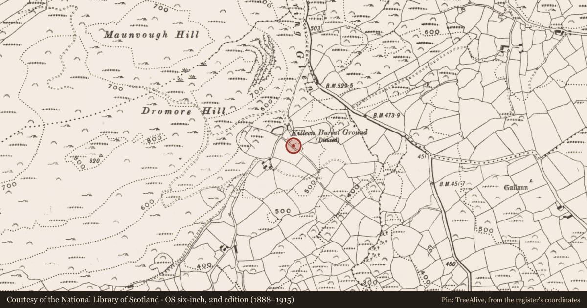 Ordnance Survey six-inch map, 2nd edition (1888–1915) covering the location of Burial ground, Dromore, County Cork, with a pin at the register's coordinates
