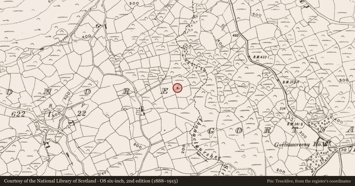Ordnance Survey six-inch map, 2nd edition (1888–1915) covering the location of Ringfort - rath, Dromore, County Cork, with a pin at the register's coordinates