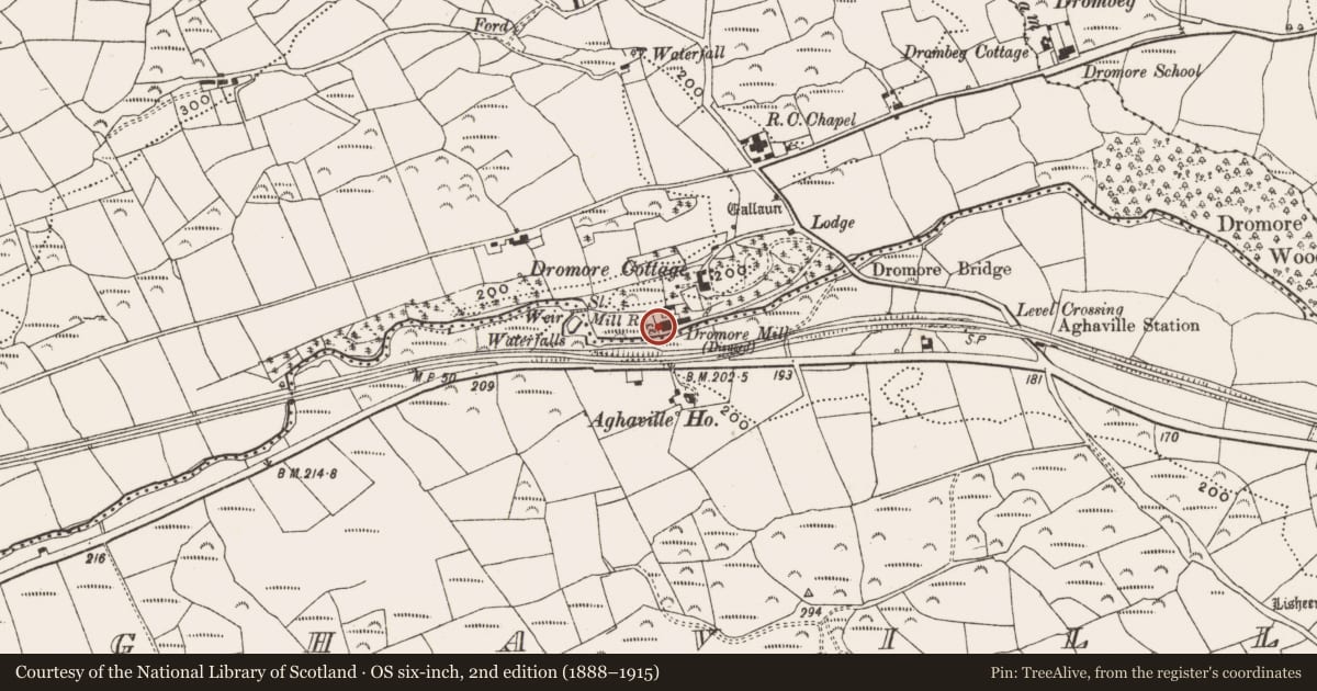 Ordnance Survey six-inch map, 2nd edition (1888–1915) covering the location of Mill - unclassified, Dromore, County Cork, with a pin at the register's coordinates