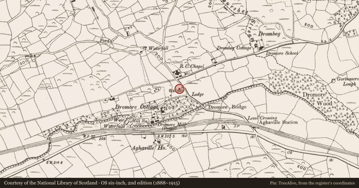 Ordnance Survey six-inch map, 2nd edition (1888–1915) covering the location of Standing stone, Dromore, County Cork, with a pin at the register's coordinates