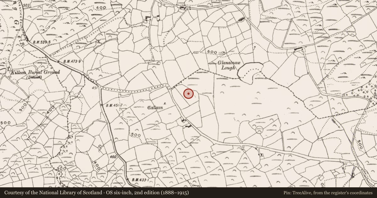 Ordnance Survey six-inch map, 2nd edition (1888–1915) covering the location of Standing stone, Gortnascreeny, County Cork, with a pin at the register's coordinates