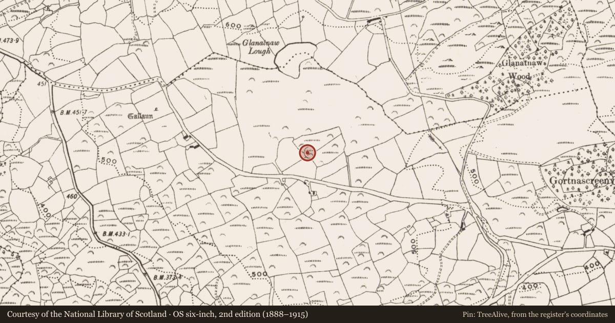 Ordnance Survey six-inch map, 2nd edition (1888–1915) covering the location of Ringfort - rath, Gortnascreeny, County Cork, with a pin at the register's coordinates