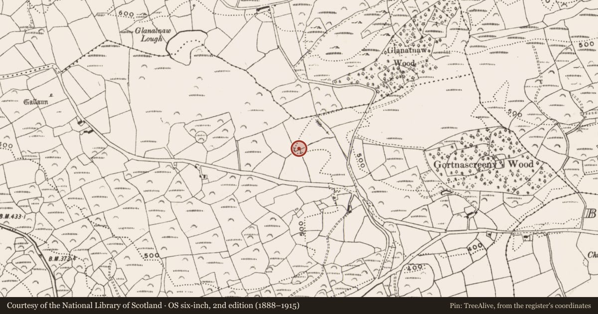 Ordnance Survey six-inch map, 2nd edition (1888–1915) covering the location of Enclosure, Gortnascreeny, County Cork, with a pin at the register's coordinates